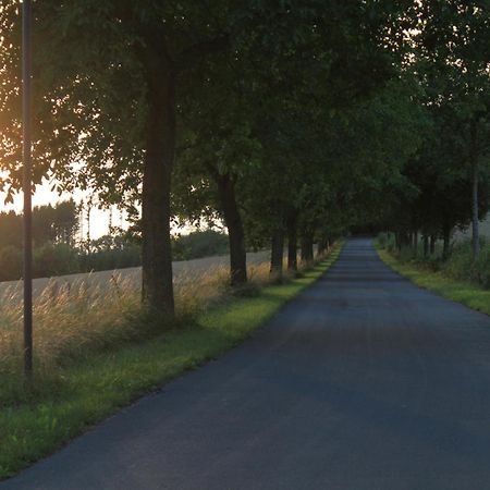 Fewo Harling - Waldsamkeit バート・イブルク エクステリア 写真
