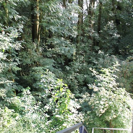 Fewo Harling - Waldsamkeit バート・イブルク エクステリア 写真
