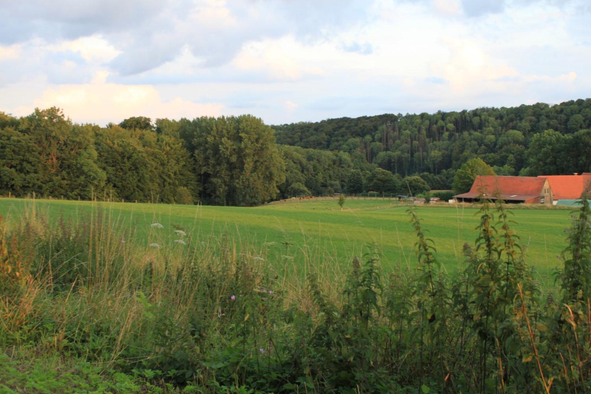 Fewo Harling - Waldsamkeit バート・イブルク エクステリア 写真