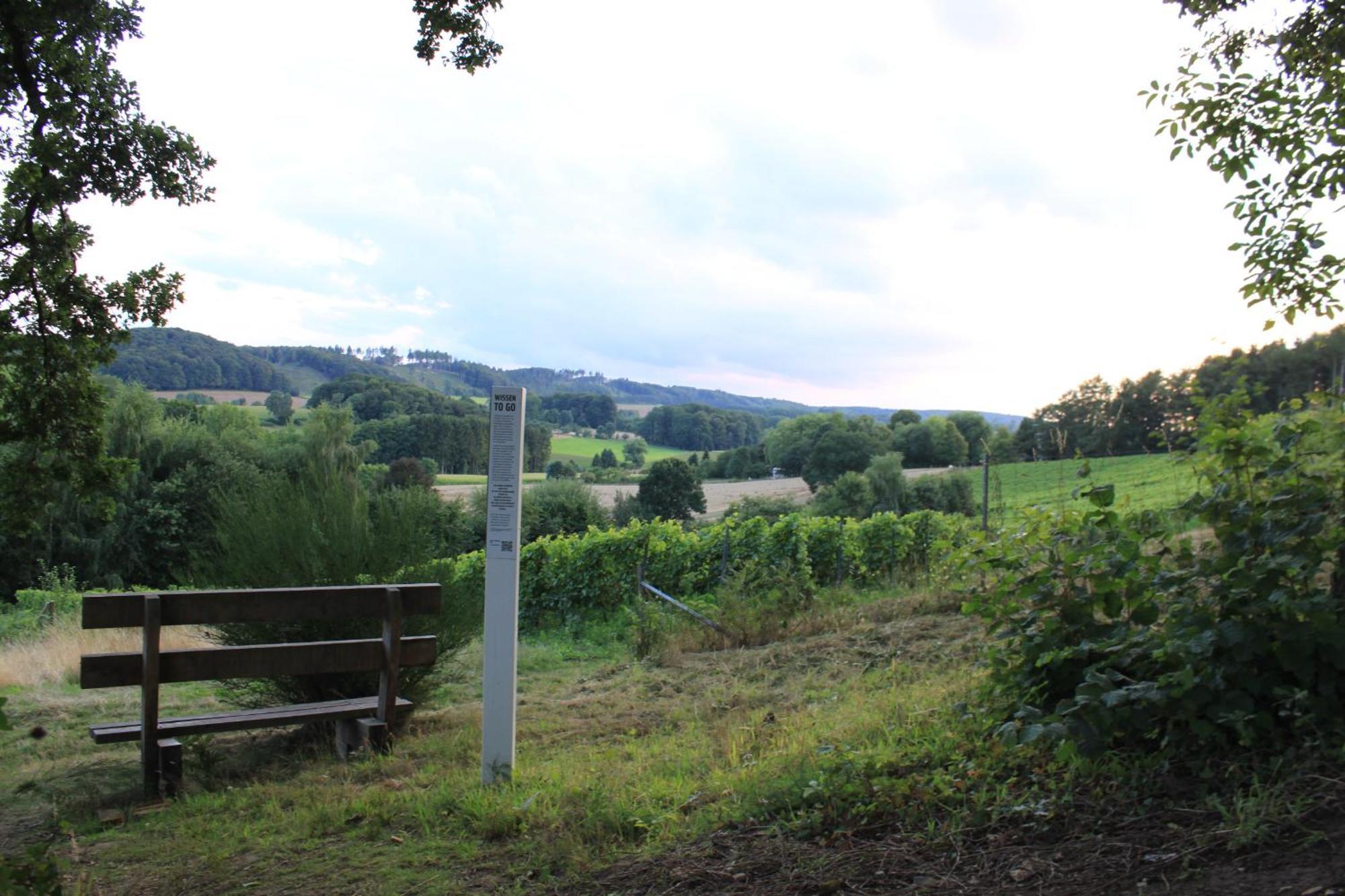 Fewo Harling - Waldsamkeit バート・イブルク エクステリア 写真